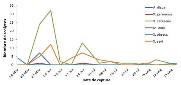 District 5 — Échantillons de scolytes du bois recueillis dans deux vergers dotés de deux pièges chacun (n=4) pendant 13 semaines.