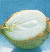 Sprout inhibitor injury.