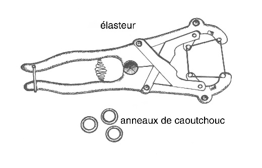 Élasteur utilisé pour fixer les anneaux de caoutchouc.