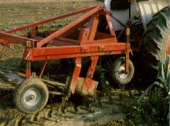 A vibrating lifter loosens plants and removes a large part of the soil from the roots.
