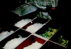 Des cartons de brocolis en bottes recevant de la glace durant l'emballage.