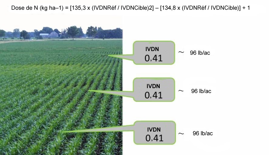 Cette méthodologie trouve sa justification dans le fait que les indices de végétation par différence normalisée ou IVDN sont fournis par les lectures d'un capteur optique de biomasse qu'on fait circuler sur un champ et par le fait que les doses d'azote sont choisies en fonction des décisions de gestion faites pour l'ensemble d'un champ.