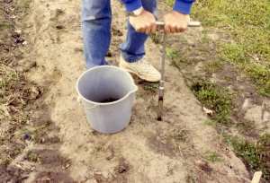 Sampling soil with a 2.5 cm- diameter soil probe Soil should be sampled approximately 20cm (8 inches) deep using a 2.5 cm (1 inch) diameter soil probe. Collect soil cores in a clean bucket.