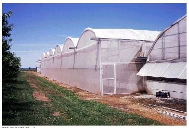 Extending the gutters on a gutter-connected house and adding a screened bay to the existing structure. A door has been built into the screened area to allow access from the outside.