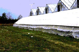 Building a lean-to along the vent side of the greenhouse to fully enclose all the vents. 