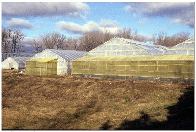 Building a lean-to along the vent side of the greenhouse to fully enclose all the vents.