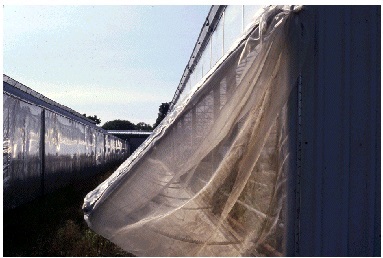 Screen attached to the vent and the vent opening using poly-lock.