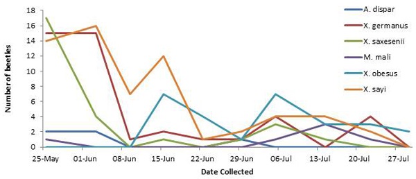 District 2 — Ambrosia beetle samples collected from two orchards with two traps at each orchard (n=4) for 8 weeks.