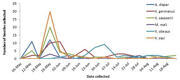 District 3 — Ambrosia beetle samples collected from 3 orchards with two traps at each orchard (n=6) for 12 weeks.