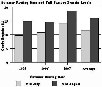 Summer resting date and fall pasture protein levels.