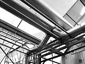Flue gas carbon dioxide distribution pipes.