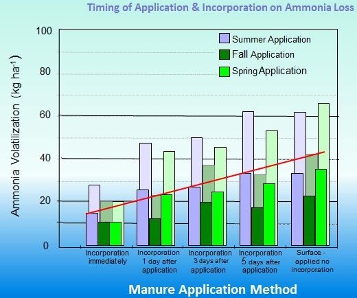 Timing of application and incorporation on ammonia loss.