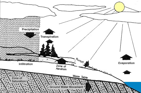 The water cycle