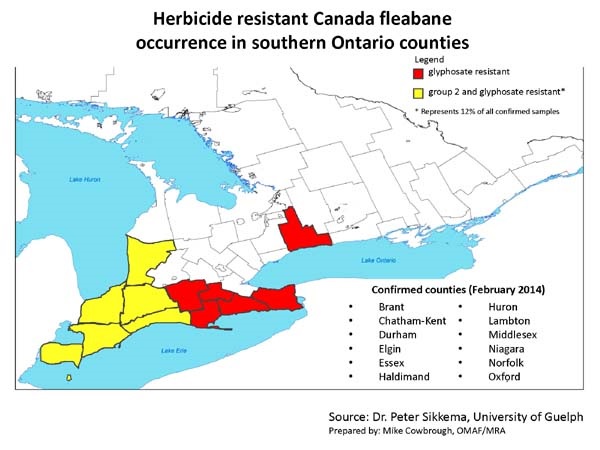 Map of Ontario showing the six most southerly counties highlighted in yellow and five counties to the east adjacent to Lake Erie highlighted in red. The region of Niagara is also in red.