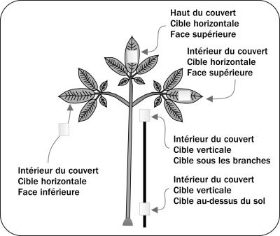 Figure 6.Cette figure illustre l'emplacement des cibles sensibles à l'eau sur un plant de ginseng. Les différentes cibles sont situées aux endroits suivants : face supérieure des feuilles de la partie la plus haute du couvert végétal; face inférieure des feuilles de la partie la plus haute du couvert végétal; face supérieure des feuilles situées à l'intérieur du couvert végétal. Deux autres cibles sont situées autour de la tige : l'une au niveau du sol et l'autre sous les branches. 