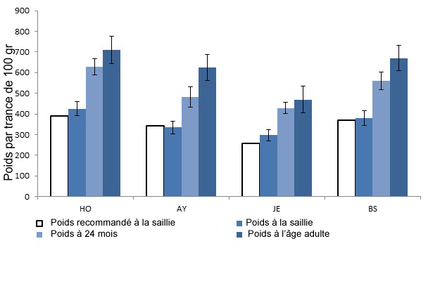 Poids (kilogrammes) à la saillie, à 24 mois et poids adultes de vaches Holstein, Ayrshire, Jersey et Suisse brune provenant de fermes laitières Valacta du Québec. Poids recommandés (kilogrammes) à la saillie basés sur 55 % du poids adulte moyen des races Holstein, Ayrshire, Jersey et Suisse brune.