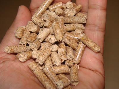 Agglomérés de biomasse.