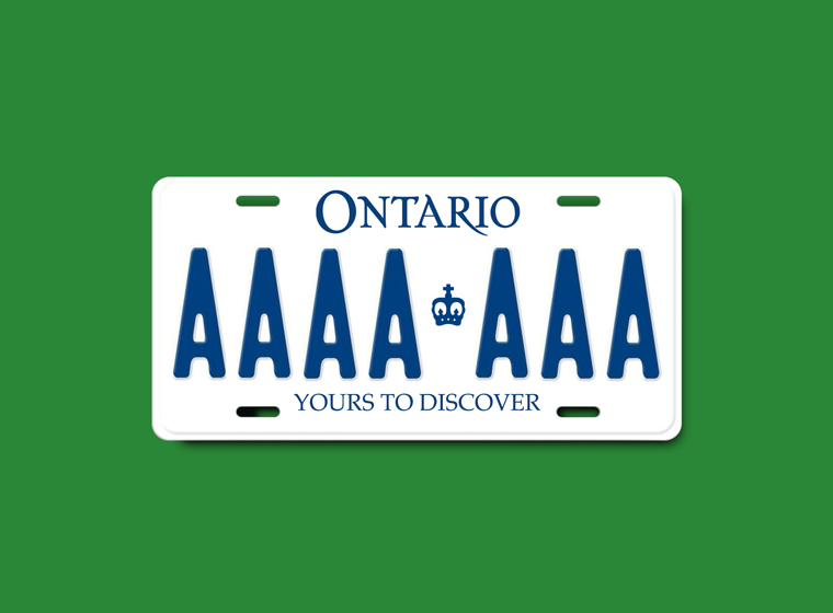 licence plate