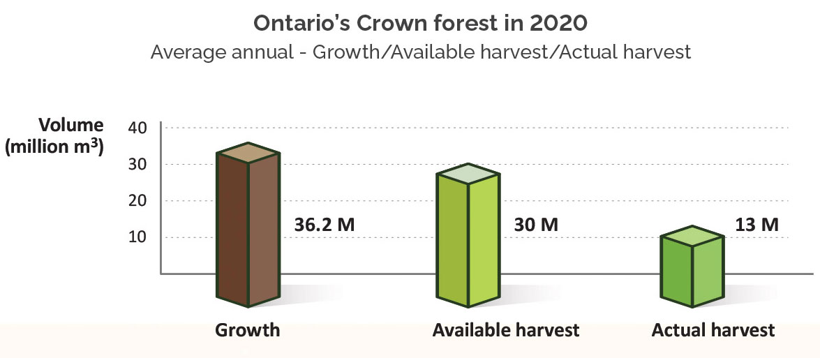 Ontario’s Crown Forest Growth at 36.2 million, available harvest at 30 million, actual harvest at 13 million in square metres