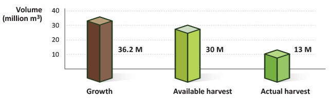 Ontario’s Crown Forest Growth at 36.2 million, available harvest at 30 million, actual harvest at 13 million in square metres