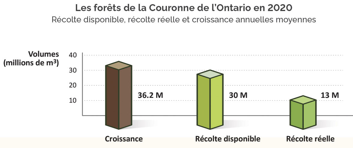 ( en m2) Croissance des forêts de la Couronne de l’Ontario : 36,2 millions. Récolte disponible : 30 millions. Récolte réelle : 13 millions.