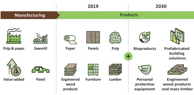 Chart demonstrating examples of forest products with icons of factories, paper, lumber, furniture, facemask, and construction