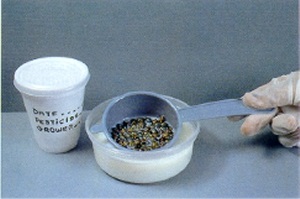 Dipping beetles.
