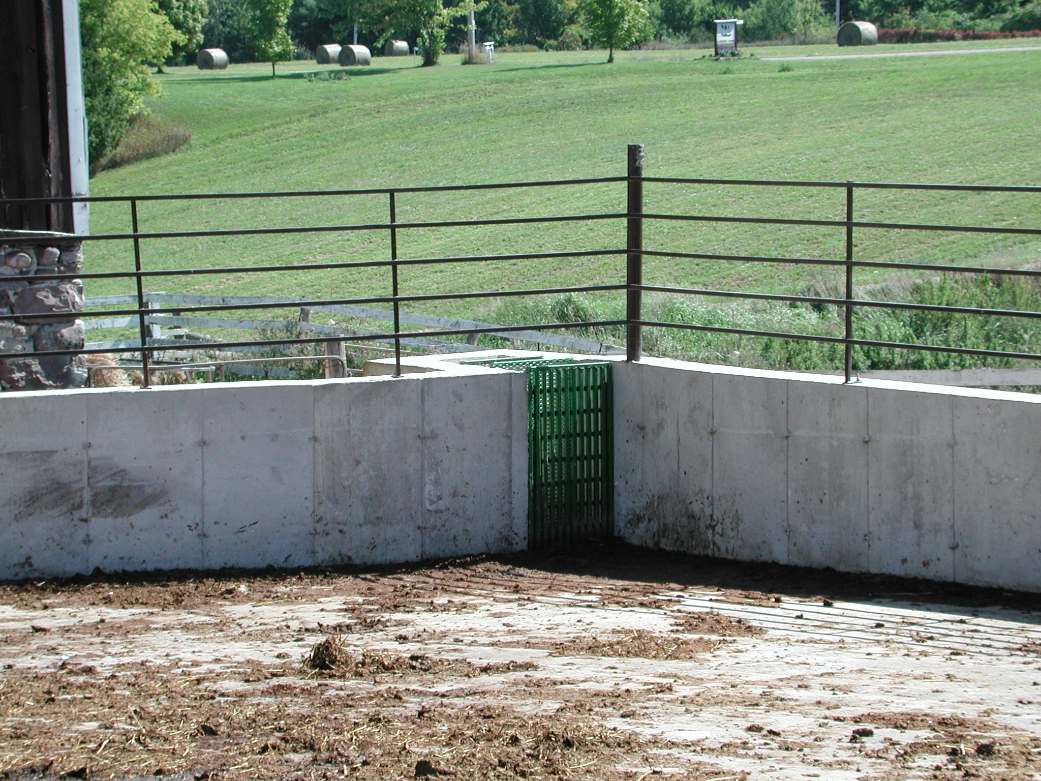 Picture showing the convergence to 2 cement walls, with fencing on top. A screen, placed in the corner of the 2 walls, limits the amount of solids reaching the holding tank and pump of a vegetated filter system.