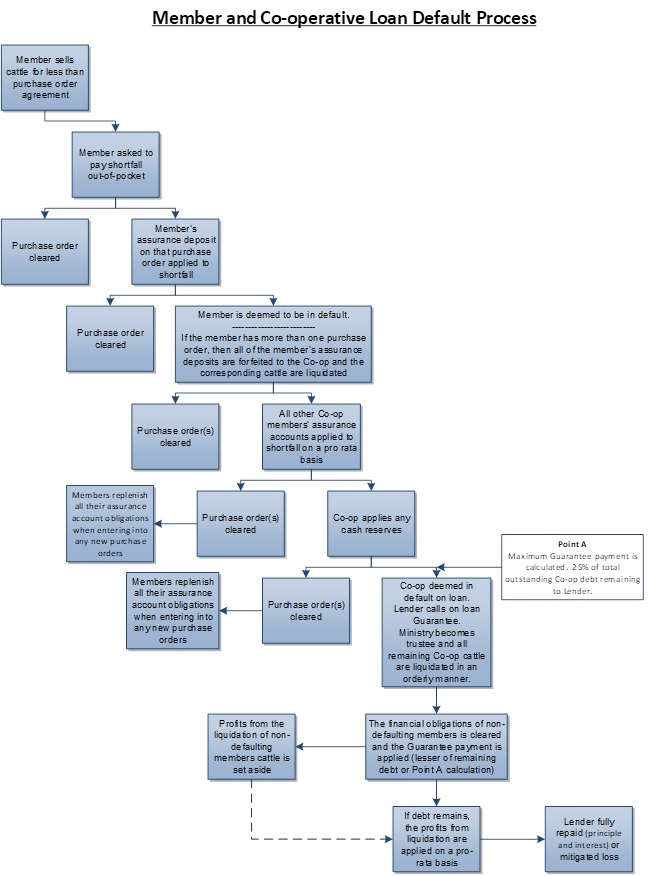 Member and Co-operative Loan Default Process