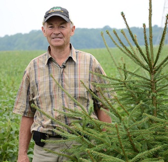 Man standing next to a spruce tree in front of a field of soya beans.