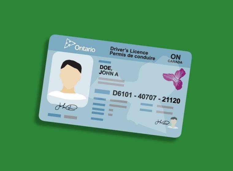 Renew My Driver's License COVID 19