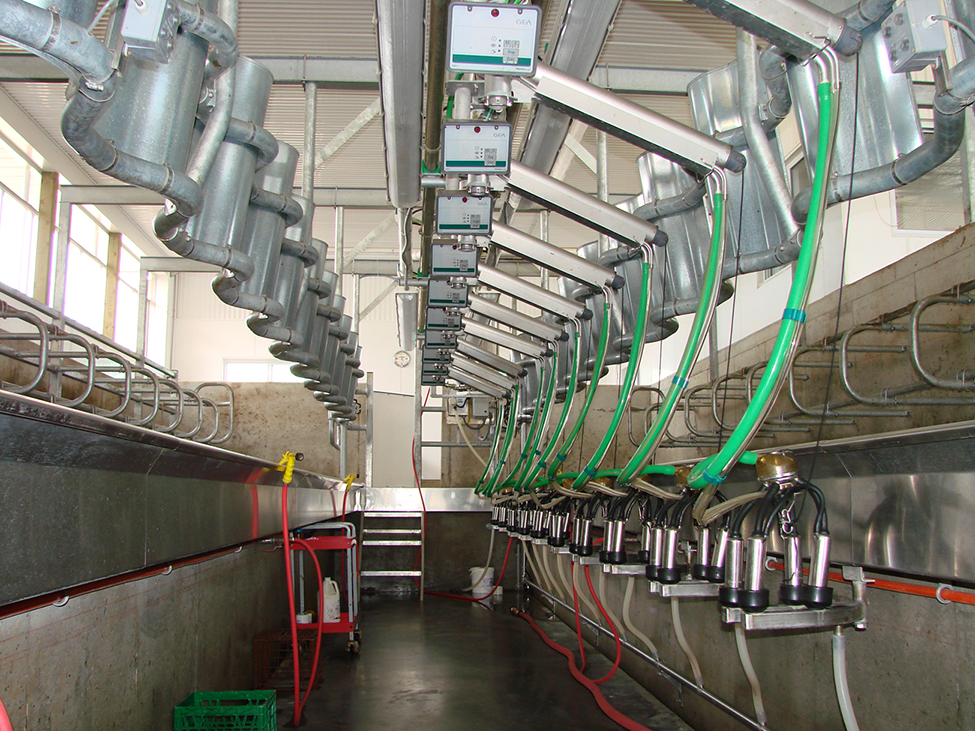 Row of rotary arms and hoses in a milking parlour