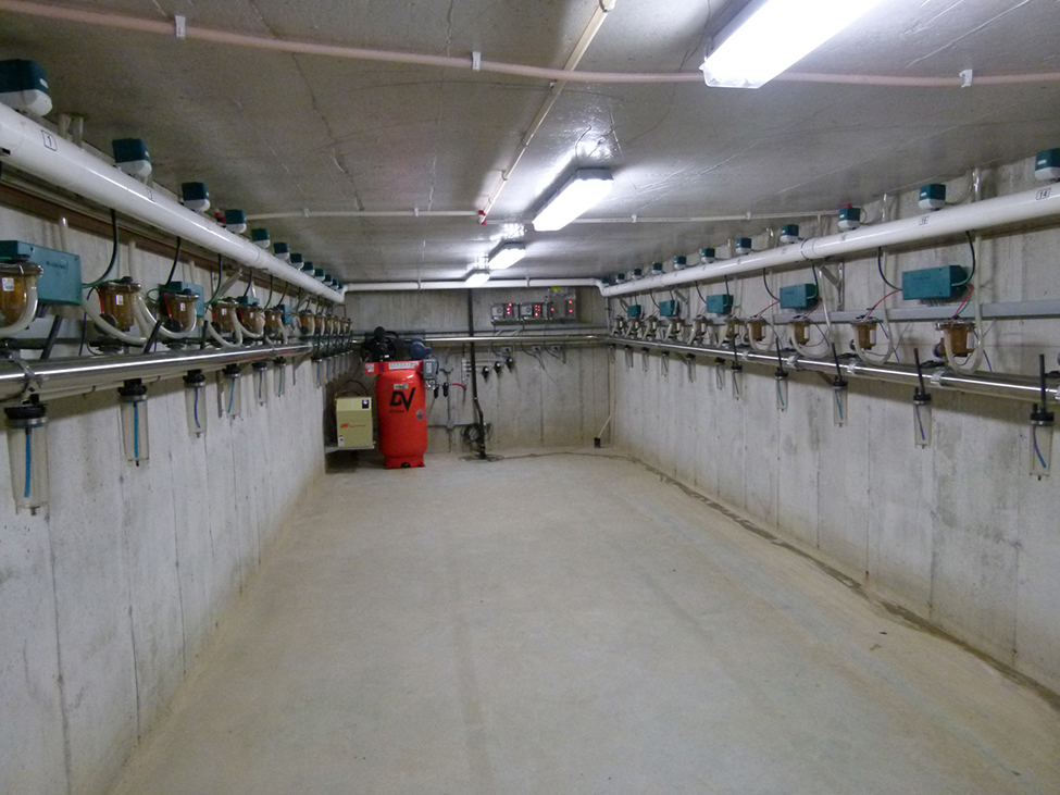 A milking parlour basement, with milking lines and pulsators along each side