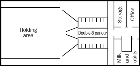 Graphic showing a linear arrangement of a milking centre with holding area on left, double-8 parlour in middle section, storage and office on right at top and milk and utility area on right at bottom, separated by walkway.