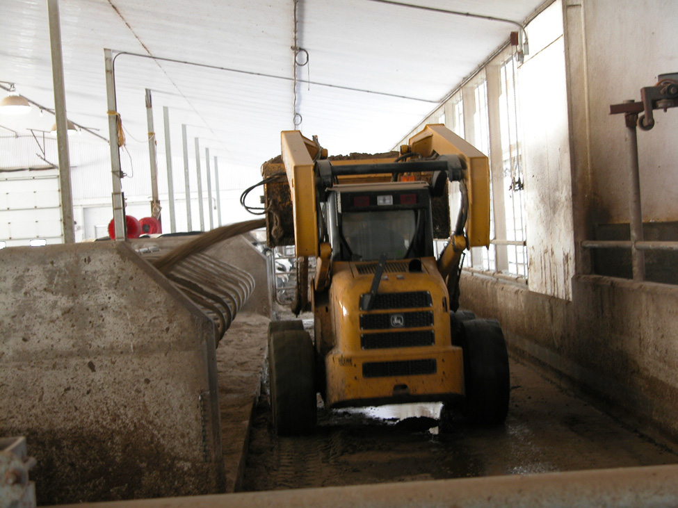 Skid steer using sand slinger to fill stall with sand
