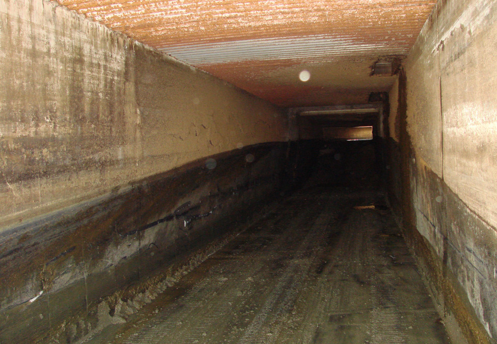 Gravity transfer trench showing line from build-up of sand manure solids