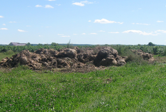 Photo de tas de fumier sur le terrain derrière une grange qui ne constituent pas des sites temporaires d’entreposage sur place.