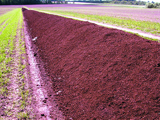 Photo d’un long andain de fumier solide composté dans un champ.