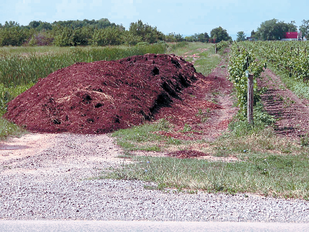 Une rangée de fumier solide dans un vignoble