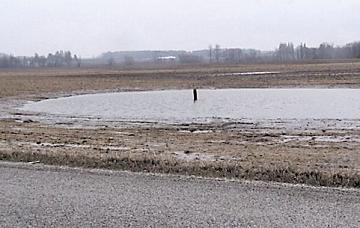 Photo d’un bassin de captage et de sédimentation qui recueille et évacue les eaux de crue.