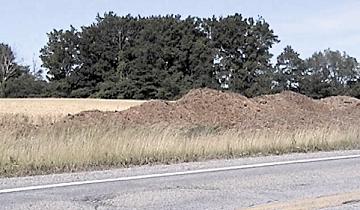 Photo montrant, à l’avant-plan, un lieu d’entreposage temporaire du fumier au champ durant les mois d’été.