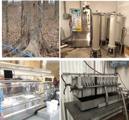 Samples of equipment used by small maple syrup producers. vacuum tubing (top left), reverse osmosis machine (top right), stainless steel evaporator (bottom left), and filter press (bottom right).