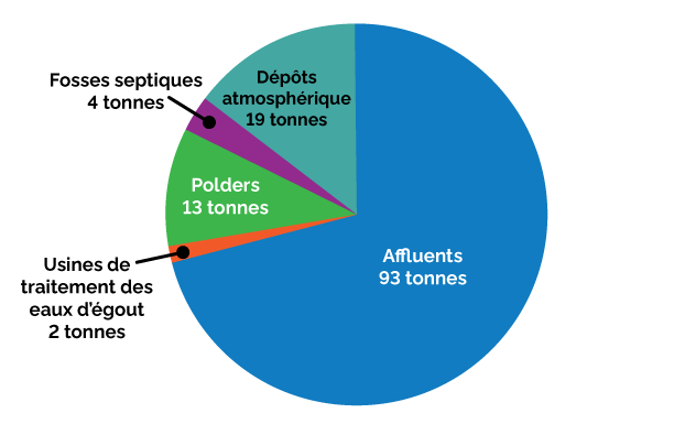 A pie chart displaying the phosphorus loads to Lake Simcoe