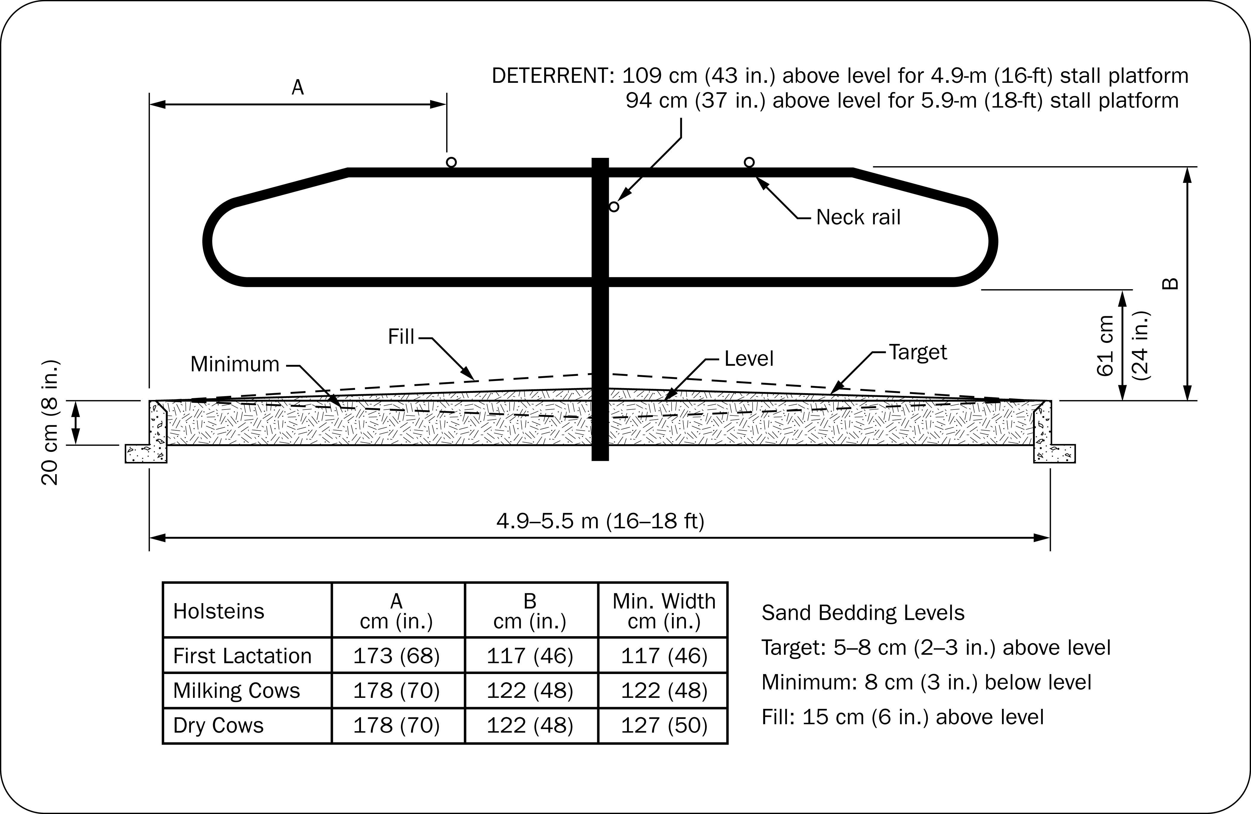 Cross section of head-to-head free stalls showing recommended sand levels
