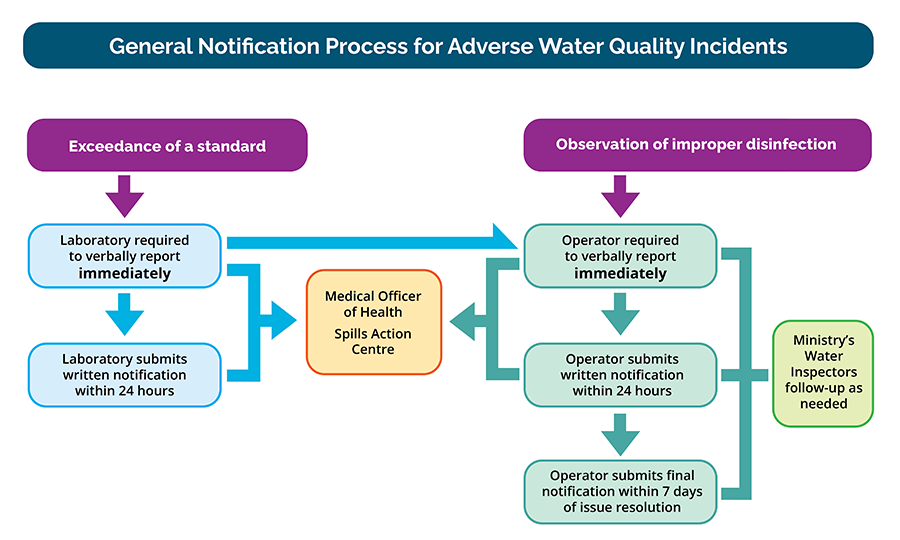 Figure 2 outlines the process that must be followed when an adverse test result or observation occurs.