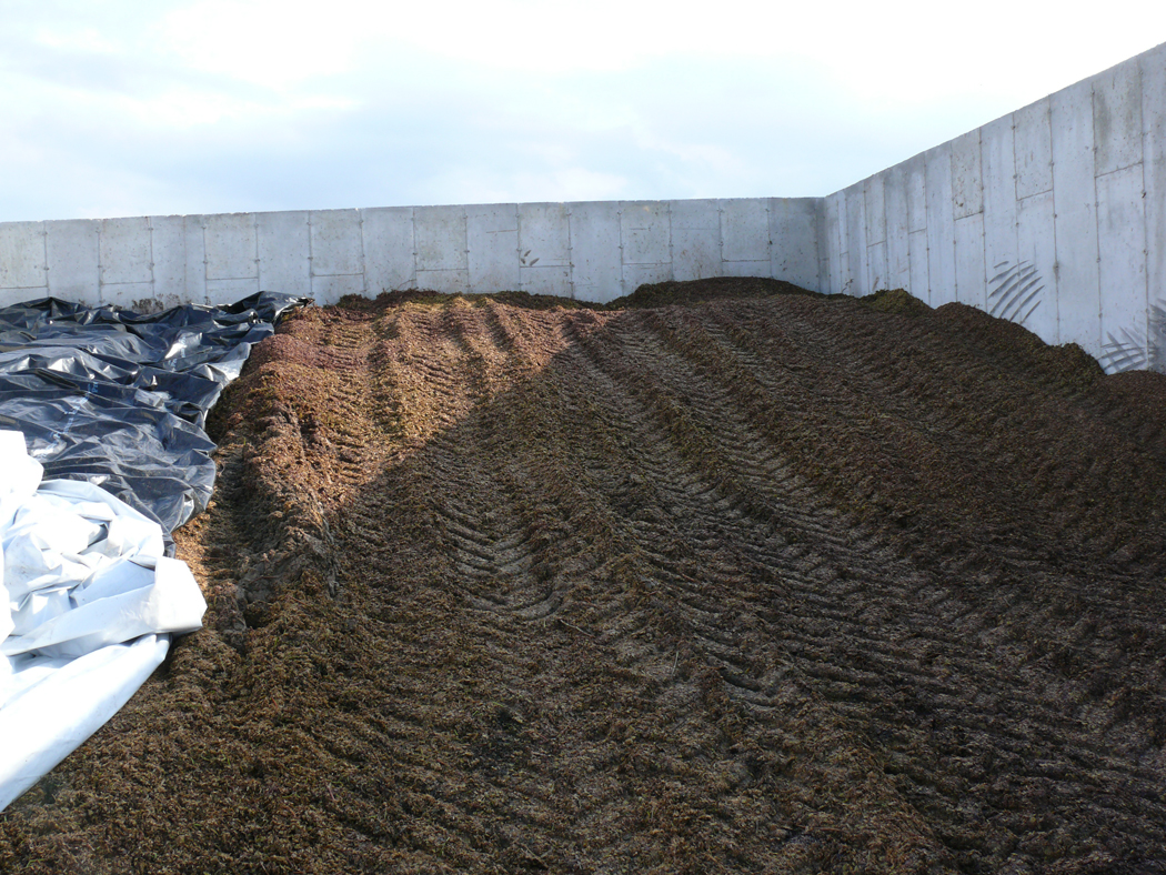 Un silo de béton horizontal utilisé pour stocker des matières plus sèches ne provenant pas d’une exploitation agricole, comme des enveloppes de maïs et du marc de raisin.