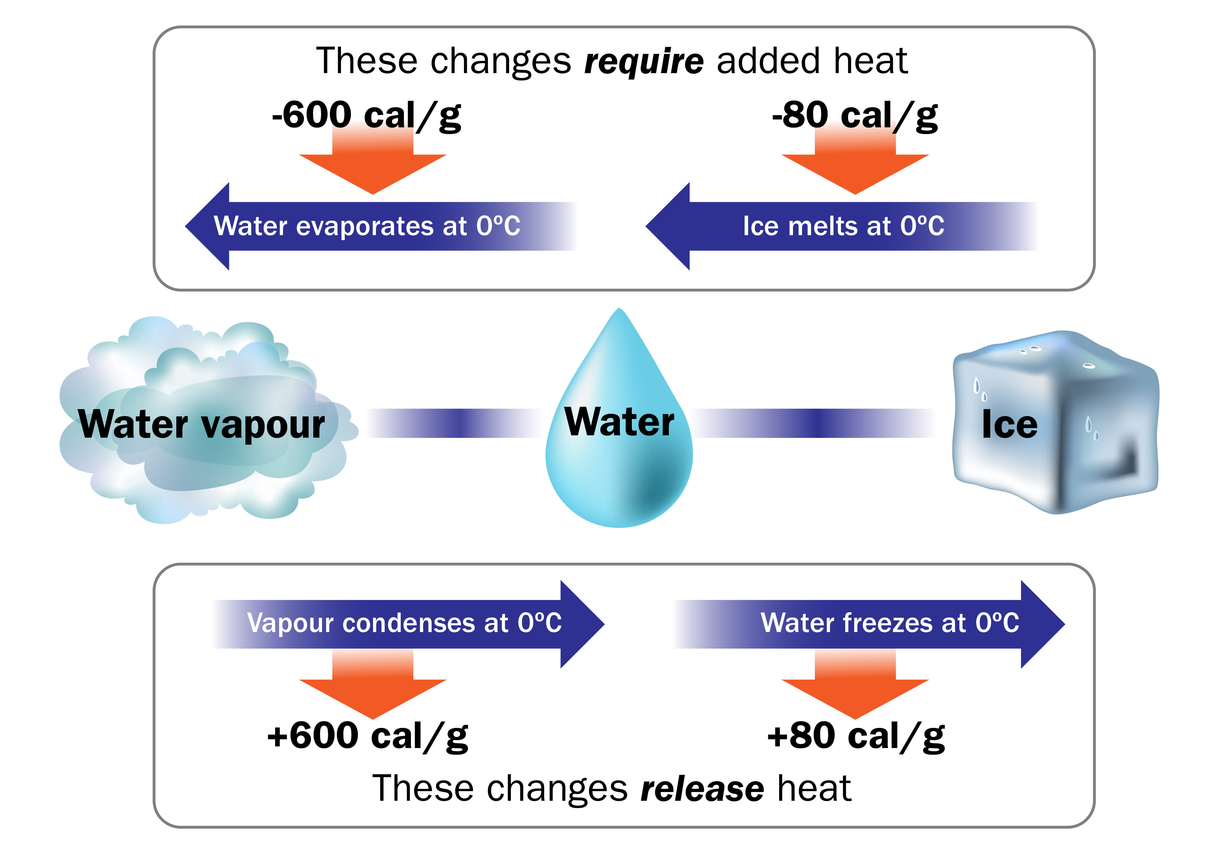 When water is warming it requires added heat and therefore the air around it cools: Water evaporates at 0°C. It requires -600 cal/g. Ice melts at 0°C. It requires -80 cal/g. When water is cooling it releases heat and therefore the air around it warms: Vapour condenses at 0°C. It releases +600 cal/g. Water freezes at 0°C. It releases +80 cal/g. Water’s changes in state are illustrated with a water droplet in the centre, water vapour on the left and a cube of ice on the right. The blue arrows indicate the process of changing state (left to right: evaporates, melts, condenses, freezes) and the red arrows indicate the “required added heat” or “released heat”.