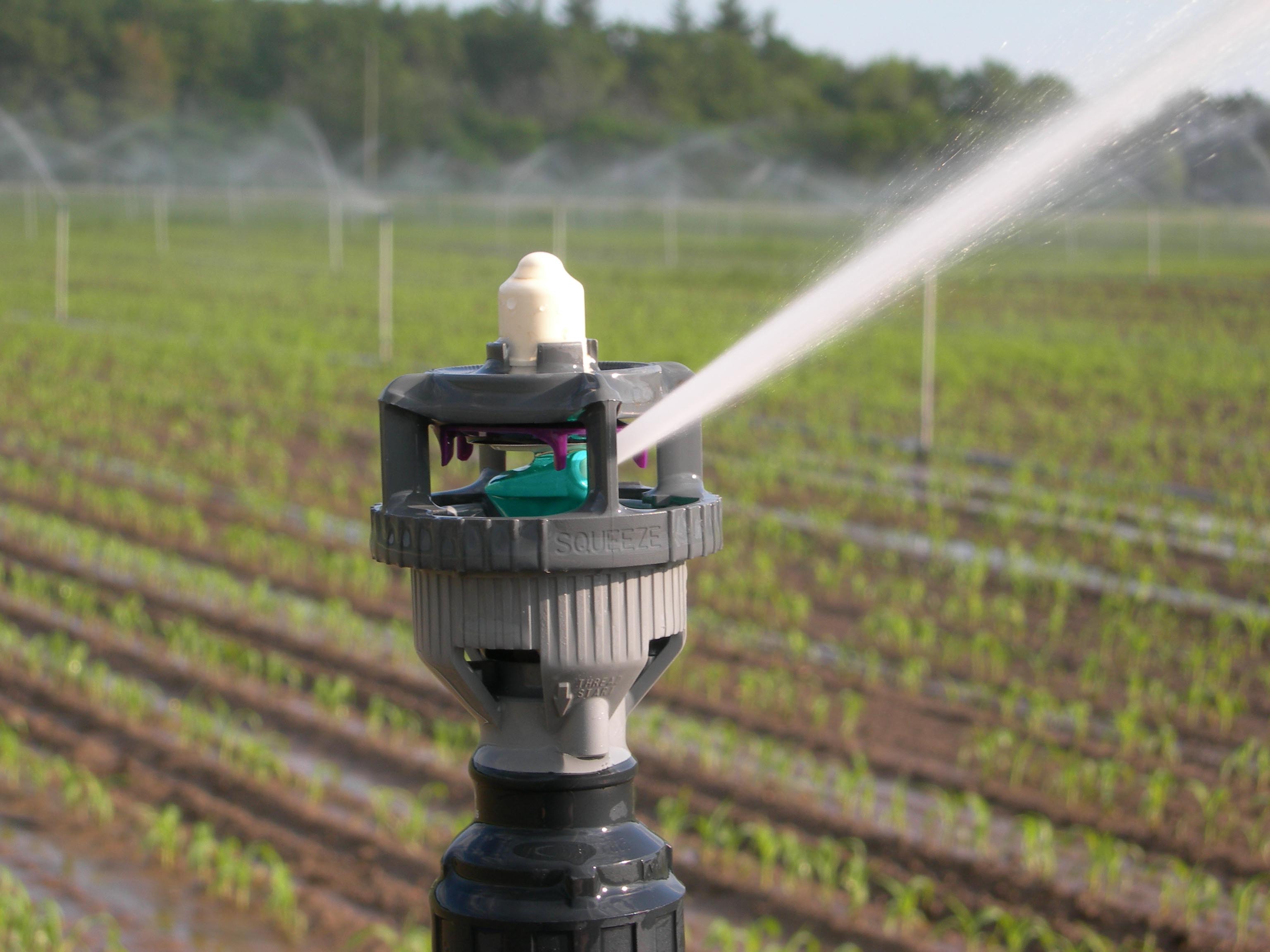 Plastic rotator nozzle on tall riser in a field with water spraying to the right.