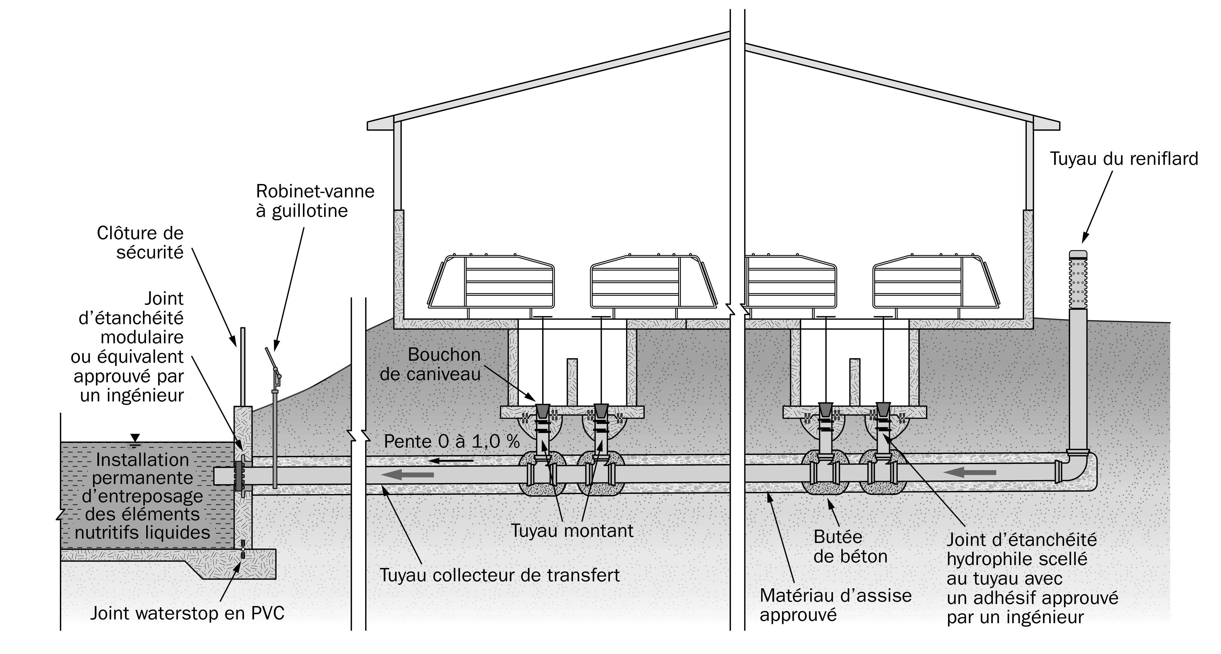 Schéma montrant la section transversale d’un système de transfert de fumier liquide par gravité dans une installation typique d’engraissement des porcins dans lequel les tuyaux montants verticaux amènent le fumier des puisards de plancher jusqu’à un tuyau de transfert horizontal en dessous qui est relié à une installation permanente d’entreposage des éléments nutritifs liquides.