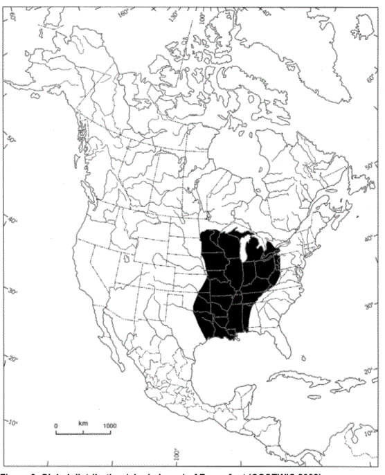 Fawnsfoot map